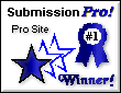 proaward6.gif (3541 Byte)