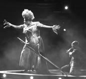 Ein Musical-Highlight: Die „Killer Queen“. Foto: BB Promotion