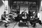 Übung macht den Meister: das Emerson String Quartet bei einer Probe in Badenweiler. Von links: Eugene Drucker, Philip Setzer, David Finckel und Lawrence Dutton. Foto: Charlotte Oswald