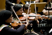Beethoven mit und ohne Kopftuch: Streicherinnen des Cairo Conservatory of Music Orchestra. Foto: Barbara Frommann